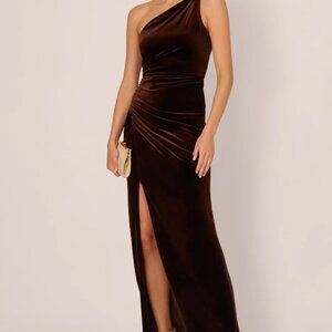 Adrianna Papell Velvet Column Gown